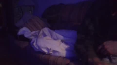 Snapshot of playerpleasure chatting on April 4, 10:02 am playerpleasure online show from April 4, 10:02 am