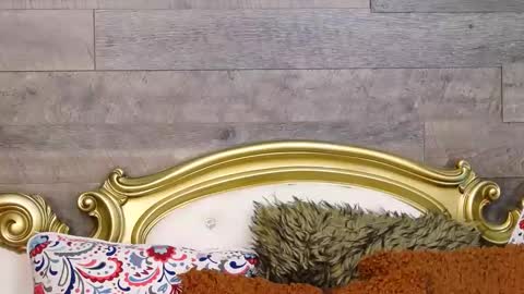 Snapshot of playfulsamy chatting on December 12, 10:02 am PlayfulSamy online show from December 12, 10:02 am