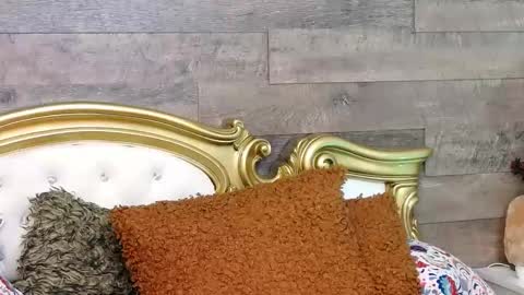 Snapshot of playfulsamy chatting on January 13, 11:30 am PlayfulSamy online show from January 13, 11:30 am