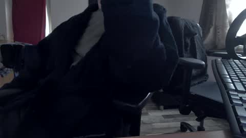 Snapshot of plboy23 chatting on November 30, 9:35 am Hello ask me . Im glad to see you here in my room. Welcome PVT is open online show from November 30, 9:35 am