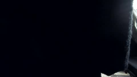 Snapshot of plboy23 chatting on December 4, 12:03 pm Hello ask me . Im glad to see you here in my room. Welcome PVT is open online show from December 4, 12:03 pm