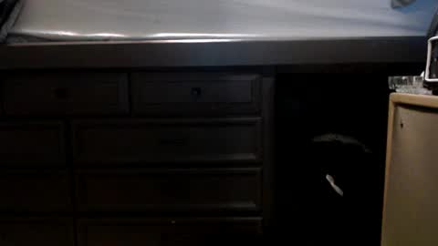 pleasantdinosaurus7537 online show from November 17, 1:00 am