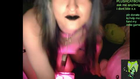 Snapshot of plushcatboy chatting on April 7, 4:24 am plushcatboy online show from April 7, 4:24 am