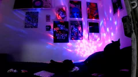 Snapshot of plutonbluemoon_999 chatting on June 30, 11:50 pm online show from June 30, 11:50 pm