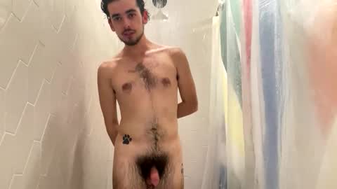 Snapshot of plutothepuppy chatting on November 18, 8:46 pm Pluto The Pup online show from November 18, 8:46 pm