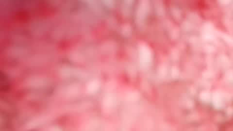 pocahontasdoll95 online show from May 14, 7:53 pm