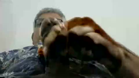 poli online show from November 17, 2:56 pm