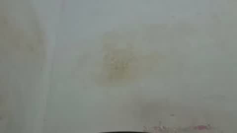 poli online show from April 4, 1:59 am