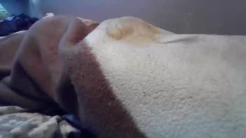 Snapshot of polishbigdick17 chatting on October 29, 6:04 am polishbigdick17 online show from October 29, 6:04 am