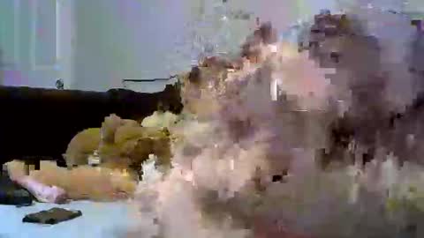 sativa  indica online show from January 12, 1:22 am