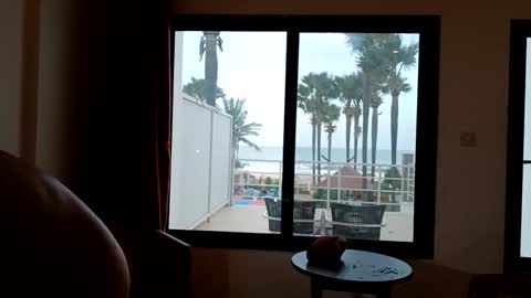 Snapshot of pollexxx66 chatting on December 16, 7:57 am Paul online show from December 16, 7:57 am