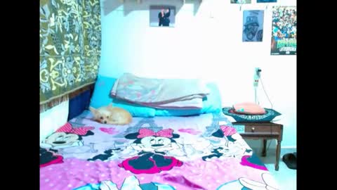 Gian online show from January 5, 8:42 pm