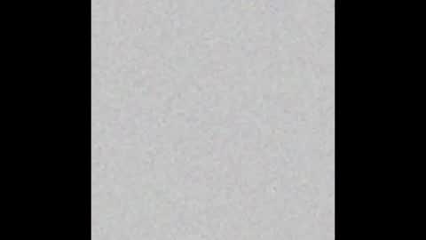 Polly online show from February 25, 8:35 am