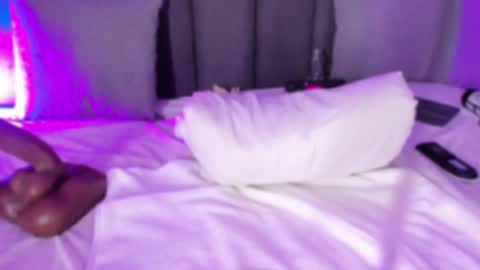 POLLY online show from February 10, 1:33 pm