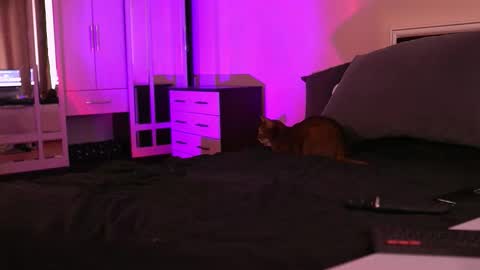 Snapshot of polusladkoye chatting on September 17, 1:02 pm Megan.online online show from September 17, 1:02 pm