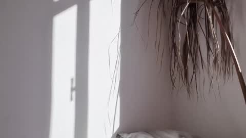 Snapshot of polynessia chatting on October 17, 6:27 am Polina online show from October 17, 6:27 am