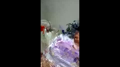 pompeche2 online show from March 25, 8:42 am