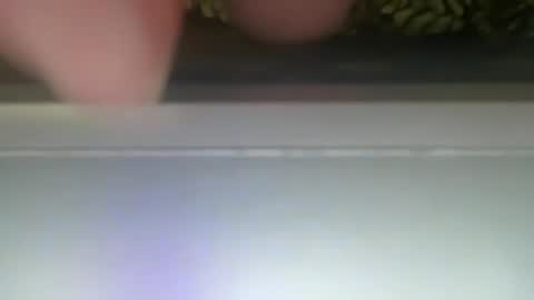 PONCH online show from December 30, 12:31 pm