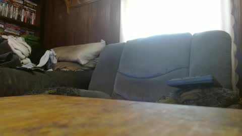 porkingit400 online show from March 3, 1:17 pm