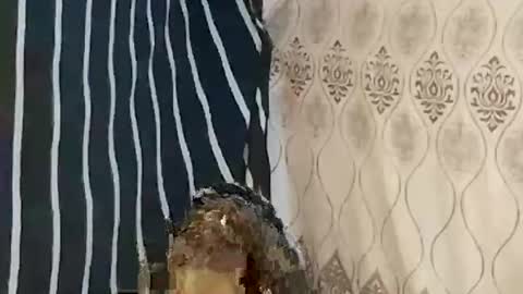 pretty705007 online show from March 21, 12:26 am