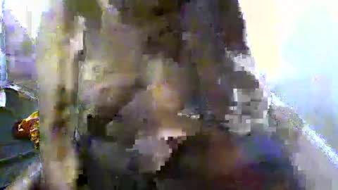 Snapshot of pretty_barbz chatting on March 8, 3:06 am pretty_barbz online show from March 8, 3:06 am