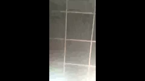 prettypinkpussy615 online show from March 8, 9:40 pm