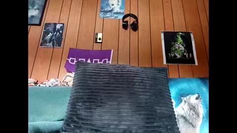 Snapshot of prettysolid7 chatting on October 13, 1:11 pm prettysolid7 online show from October 13, 1:11 pm