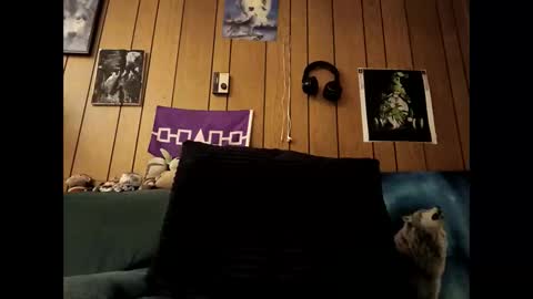 Snapshot of prettysolid7 chatting on October 15, 7:19 am prettysolid7 online show from October 15, 7:19 am