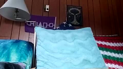 prettysolidd7 online show from December 4, 2:59 pm