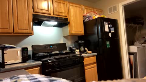 prettyworld24 online show from January 4, 7:03 am