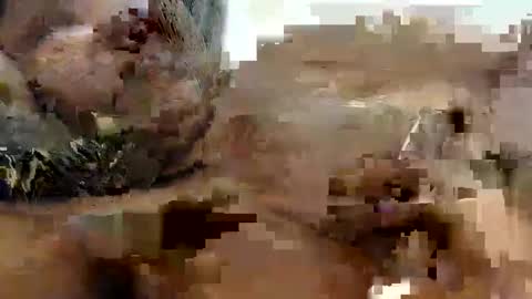 Princess Asshole online show from October 9, 10:24 am