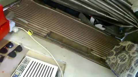 Snapshot of princess_thea123 chatting on January 24, 6:03 am  My Love online show from January 24, 6:03 am