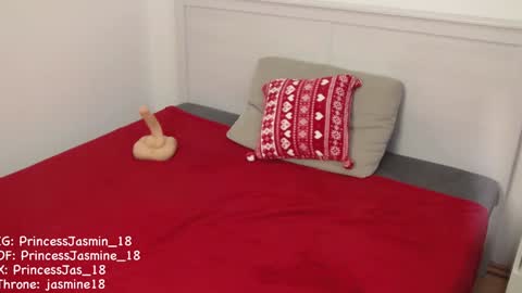 Snapshot of princessjasmine_18 chatting on December 7, 5:48 am Jasmine online show from December 7, 5:48 am