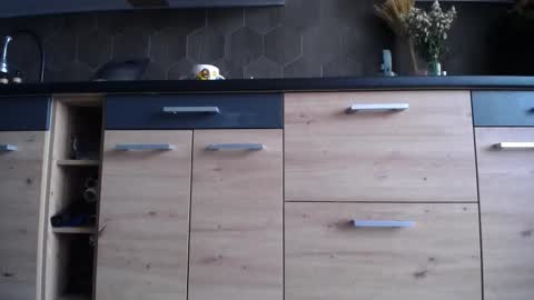 Space online show from October 3, 6:43 am