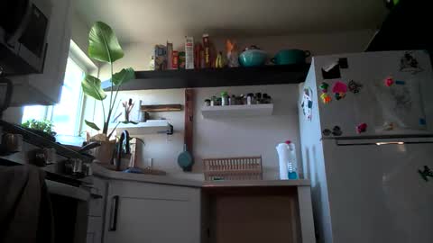 Snapshot of properfuct chatting on November 3, 8:43 pm Properfuct online show from November 3, 8:43 pm