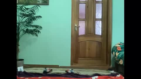 proud sweet 21 online show from April 16, 3:02 pm