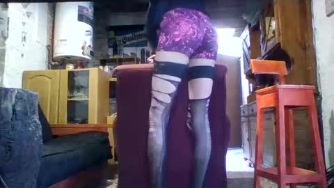 Ar Lily online show from February 24, 6:47 pm