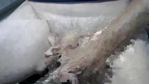 psfunman online show from February 13, 6:05 pm