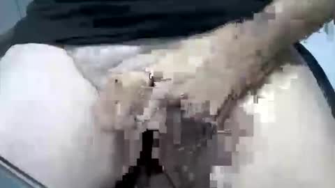 psfunman online show from February 16, 5:48 pm