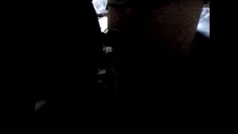 StefiTV1 online show from April 3, 3:04 am