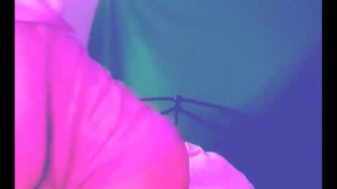 puddled_wonderland online show from March 6, 11:39 am