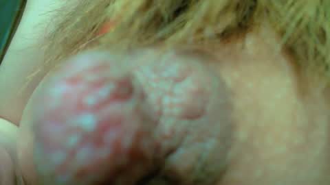 Nayaa Nay 3 online show from January 24, 8:11 pm