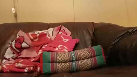 Snapshot of pulepower chatting on November 2, 8:17 am pulepower online show from November 2, 8:17 am