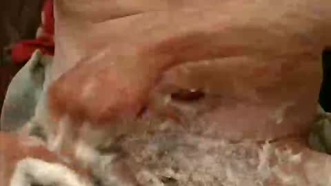 Snapshot of pulepower chatting on November 23, 9:09 am pulepower online show from November 23, 9:09 am