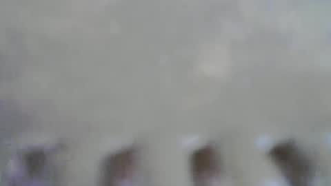 pumpkin3000 online show from November 30, 9:46 am