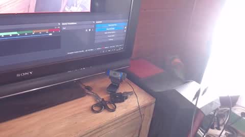 Pup Jake wants to play online show from November 30, 1:59 pm