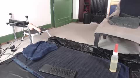 Pup Jake wants to play online show from March 24, 9:14 am