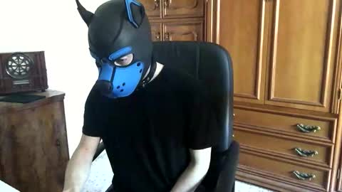 Toby online show from November 7, 10:48 am