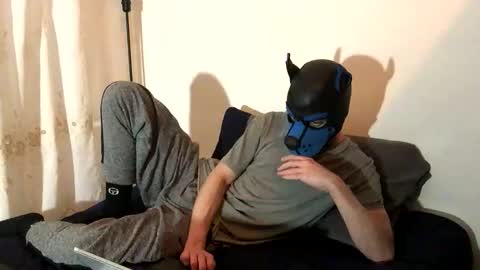 Toby online show from November 13, 8:08 pm