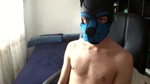 Toby online show from November 25, 9:31 am